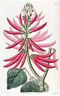 Illustration de M. Hart.