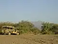 Le mont Moussa Ali dans le nord djiboutien