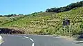 Terroir du Banyuls et du Collioure