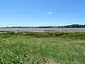 La rive gauche de la ria du Blavet vue depuis le sentier littoral à hauteur de Saint-Sterlin en aval du pont du Bonhomme ; à l'arrière-plan Lanester.