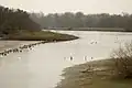 Réserve naturelle nationale du delta de la Sauer