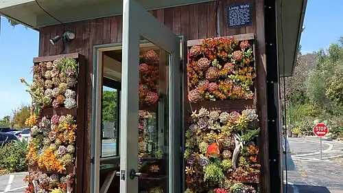 L'entrée et son mur vivant de plantes succulentes