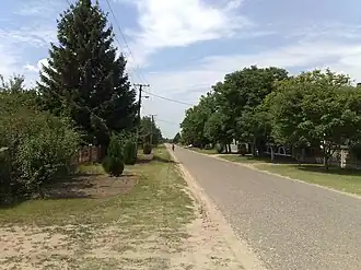 Donji Tavankut