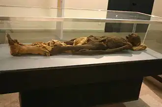 Momie de l'époque gréco-romaine, de Thèbes.