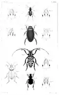 1847