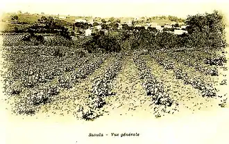 Saoula