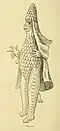 1894, Revue Hardwicke science gossip, Sea-bishop, vol. 28 p. 64