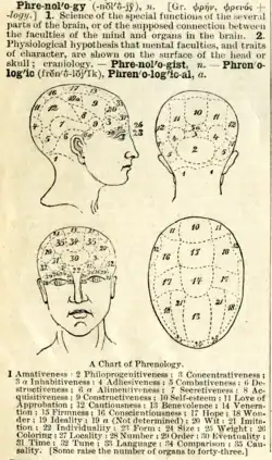 texte en anglais et dessins en noir et blanc des différentes zones d'un cerveau humain.