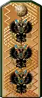 Insigne de l'admiral russe dans la Marine impériale (1884—1904)