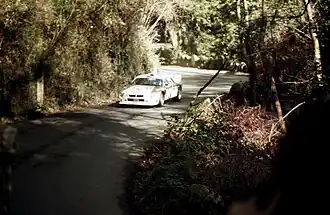 Biasion