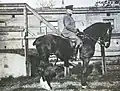 Alfred, Gustav von Blankenfeld (1862-1931), le dernier von Blankenfeld de Berlin. Il quitte Berlin en 1896 juste après son mariage pour Rastatt, puis Bonn, et Trèves. Il participe avec son fils Wilke à la Première Guerre mondiale contre les Russes