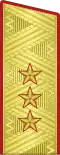Insigne de colonel-général(uniforme de service de l'Armée de terre).