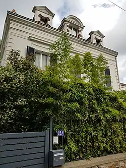 No&nbsp;19.