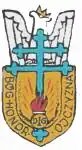 Image illustrative de l’article 1re division d'infanterie (Pologne)