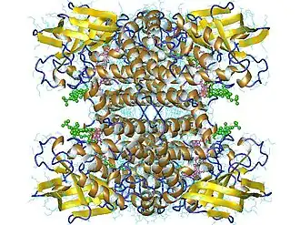 Image illustrative de l’article Acyl-coenzyme A déshydrogénase