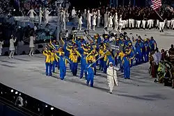 Photographie de l'entrée de la délégation ukrainienne lors de la cérémonie d'ouverture.