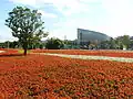 Parterre de fleurs aux floralies de Taipei de 2010&nbsp;(en). Au loin, l'EcoARK et le gratte-ciel Taipei 101.