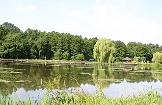 Dobra (Opole)