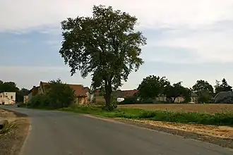 Błażejowice Dolne