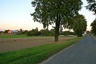 Kózki (Opole)