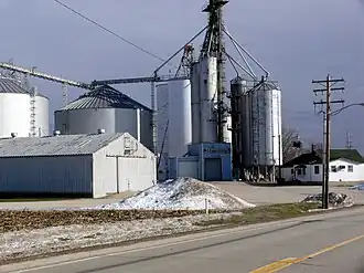 Troy Grove