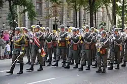 Image illustrative de l’article Marche militaire, WAB 116
