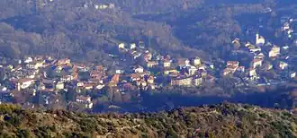 Rubiane