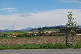 Grossguschelmuth