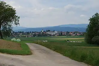 Täuffelen