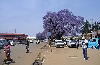 Nhlangano