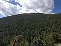 Forêt de conifères autour du pic Wheeler.