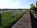 Mur à la levée de la Meuse.