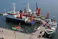 Alkor et Poseidon