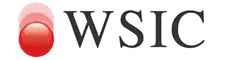Logo du championnat international 2013.