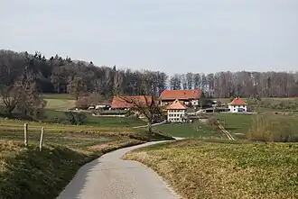 Autafond