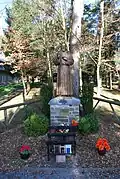 Saint Padre Pio