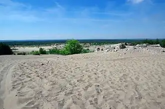 Image illustrative de l’article Désert de Błędów