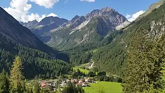 Pfafflar