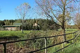 Buczyna (Wschowa)
