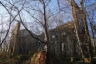 Un bâtiment éventré et envahit d'arbres.