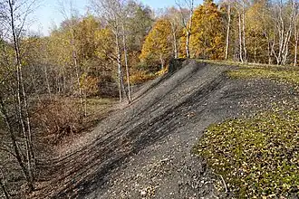 Un talus noir couvert de mousse au sommet.