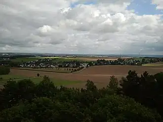 Taura