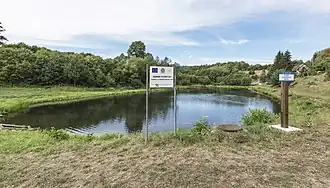 Chocieszów