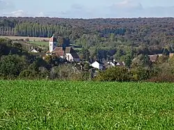 Vue éloignée et paysage.