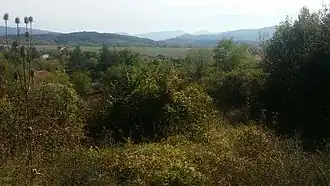 Ranilug
