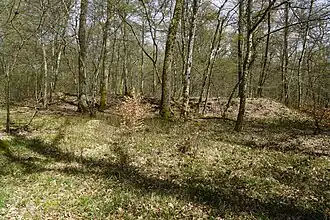 Vue éloignée du terril.