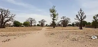 Diohine