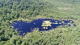 Vue aérienne de la tourbière de la Grande Pile.