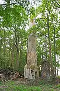 Cheminée du puits de la Filousière.
