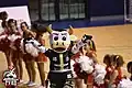 2020 la nouvelle mascotte Marguerite du PVHB